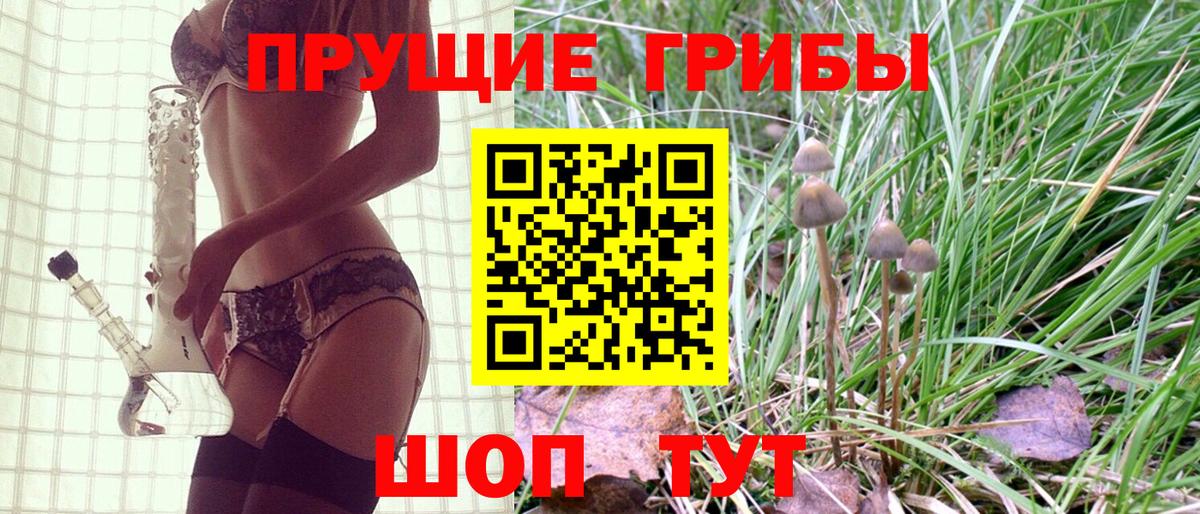 Галлюциногенные грибы ЛСД Губкинский
